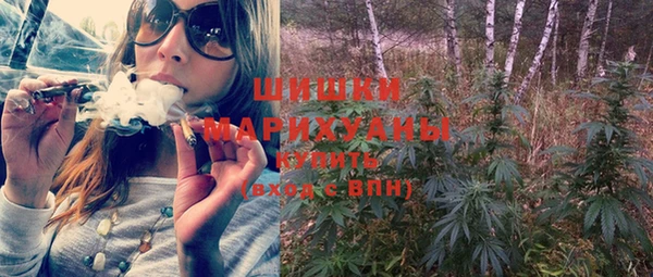 гидра Белокуриха