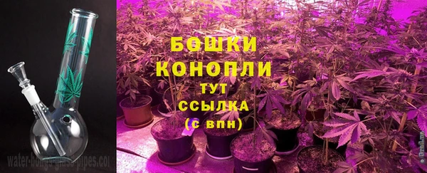 гидра Белокуриха