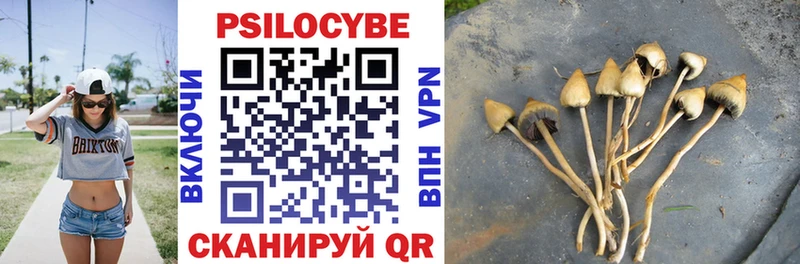 маркетплейс наркотические препараты  Рудня  Галлюциногенные грибы прущие грибы 